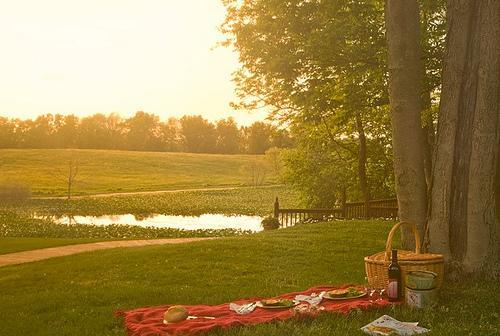 Castle In The Country Bed & Breakfast Inn Allegan Buitenkant foto